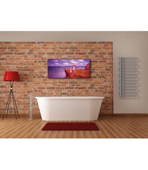 500x1000 AFRODISIAS Krom Havlupan Radyatör